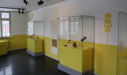 <Ausstellungsraum zur Jungsteinzeit mit erklärender Texttafel und Vitrinen mit Funden von Kerammikfragmenten.