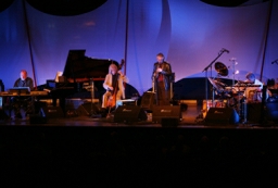 Konzertbühne mit vier Musikern an verschiedenen Instrumenten.