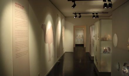 Ausstellungsraum mit Vitrinen und Wandtafeln mit Erklärungen.