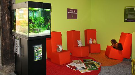 Lese-Ecke mit Sesseln, Büchern und einem Aquarium.